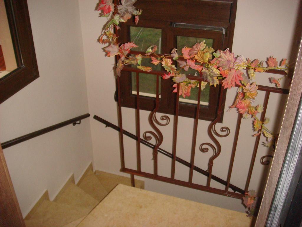 Villa Angela Sykia Chalkidikis Buitenkant foto