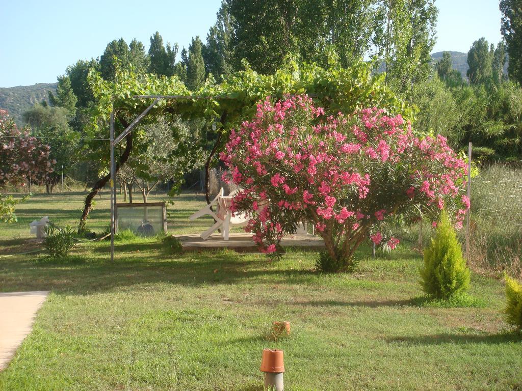 Villa Angela Sykia Chalkidikis Buitenkant foto