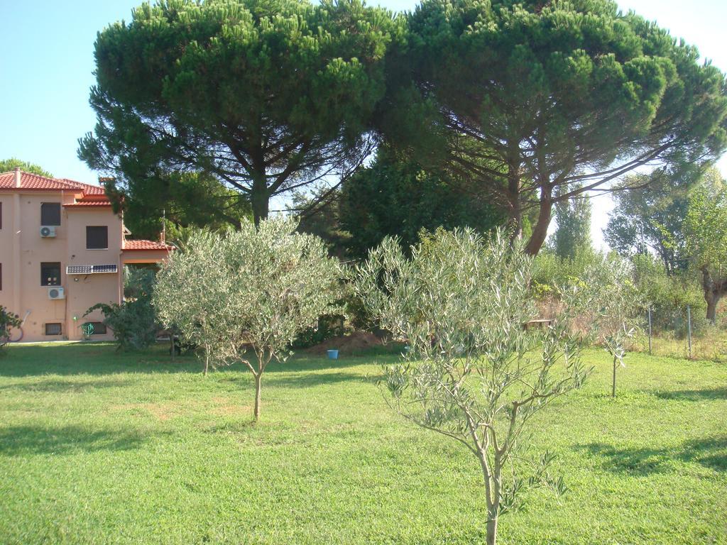 Villa Angela Sykia Chalkidikis Buitenkant foto