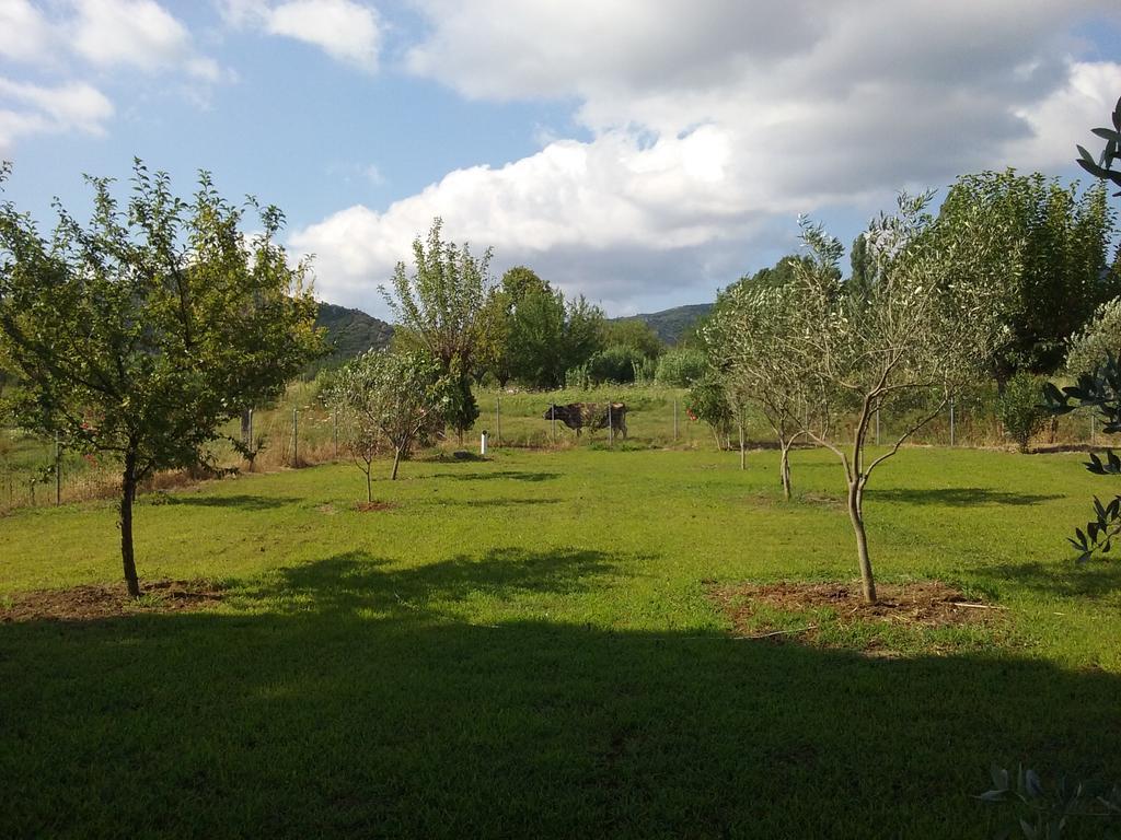 Villa Angela Sykia Chalkidikis Buitenkant foto